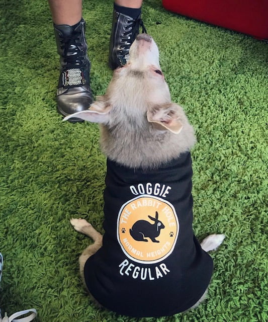 3605de c03b48d5e0234a20add69d32b39aba03mv2